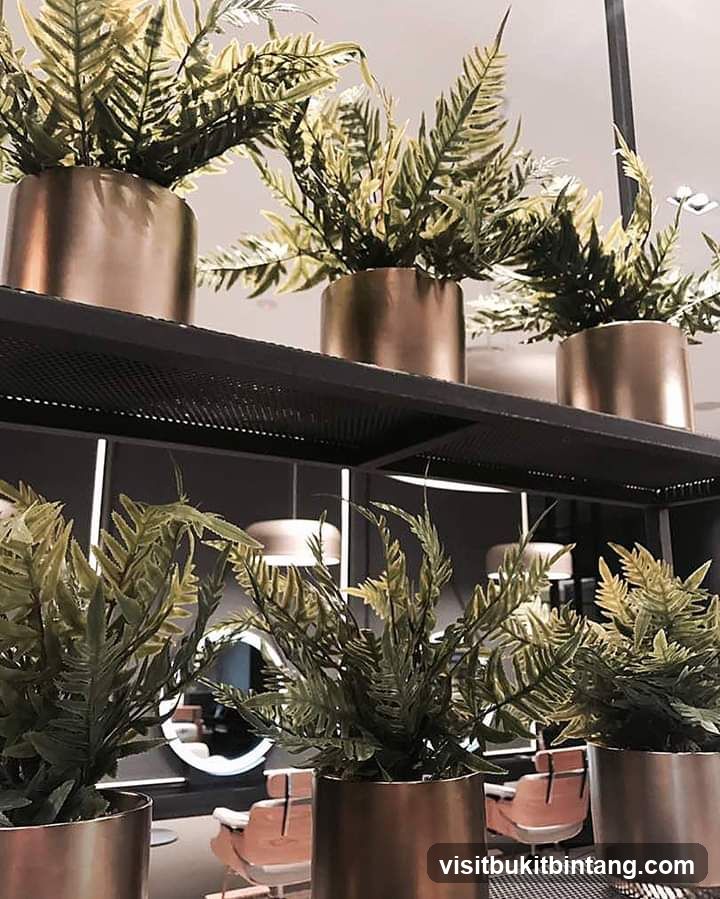Indoor Plants in Metallic Pots