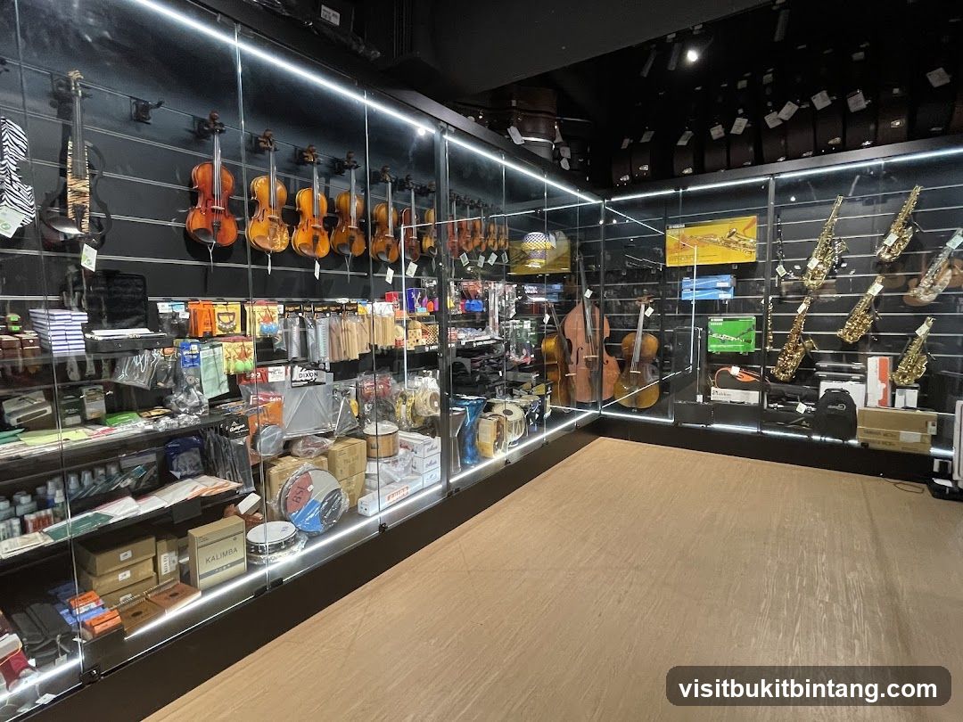Musical Instrument Store Display