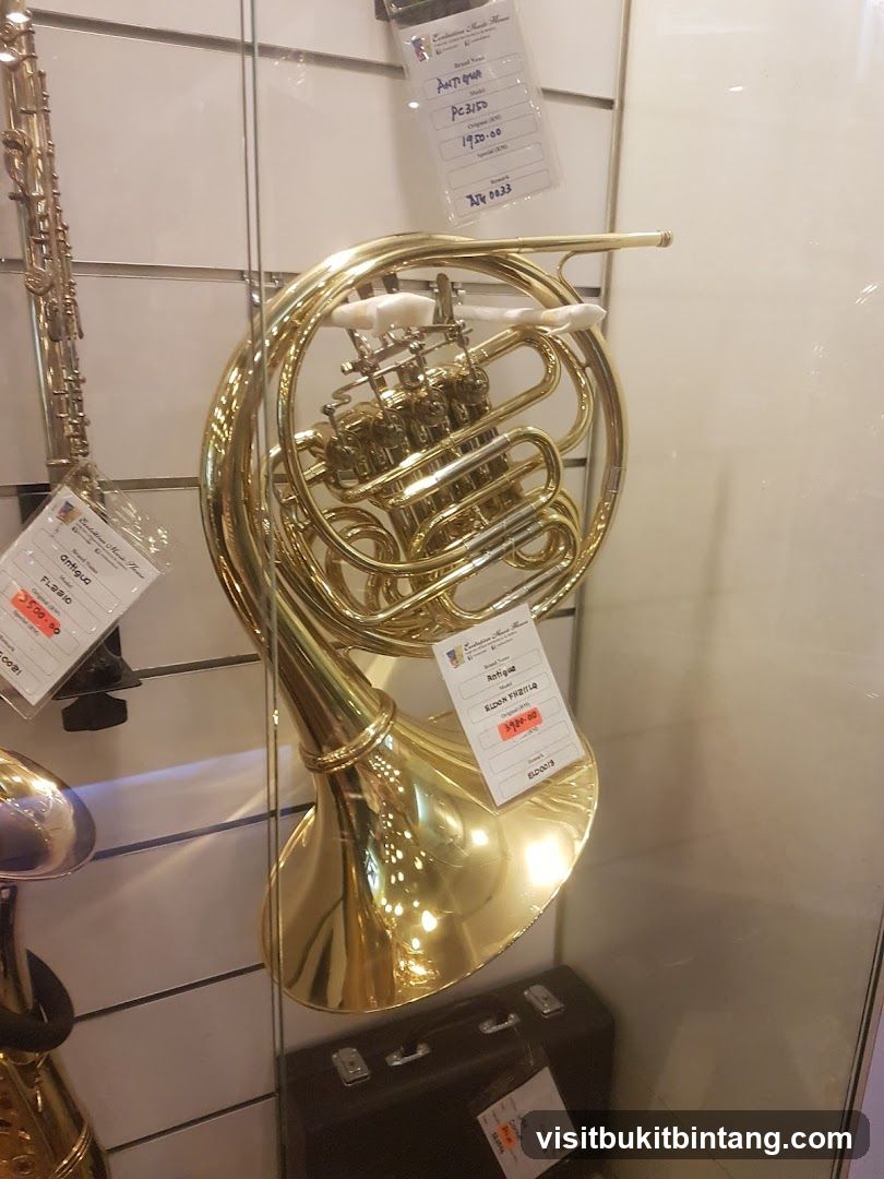 Musical Instruments Display