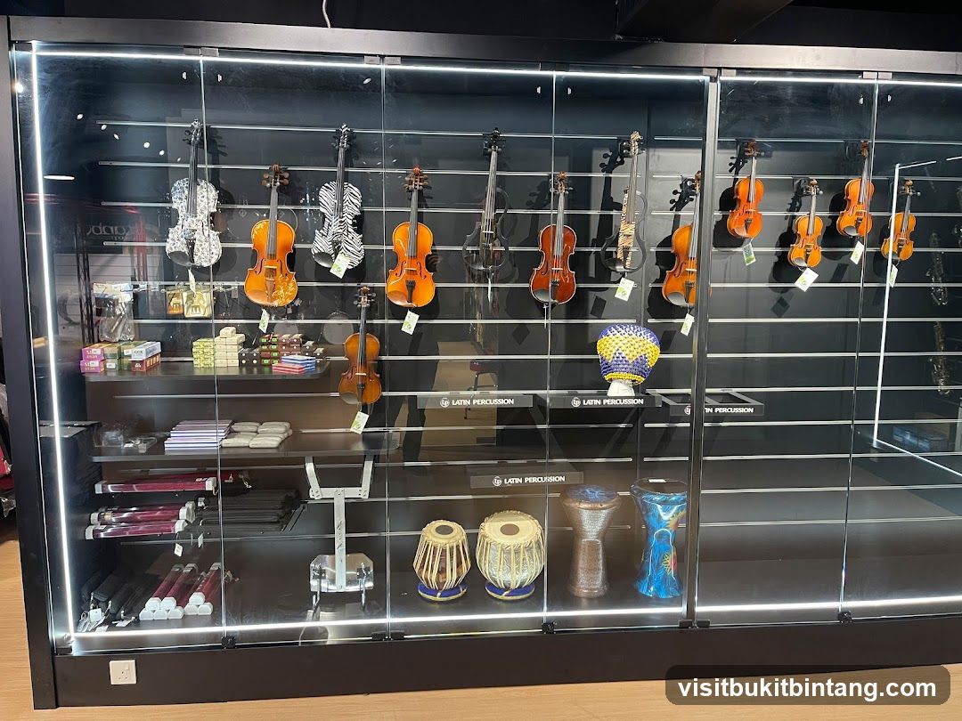 Musical Instruments Display