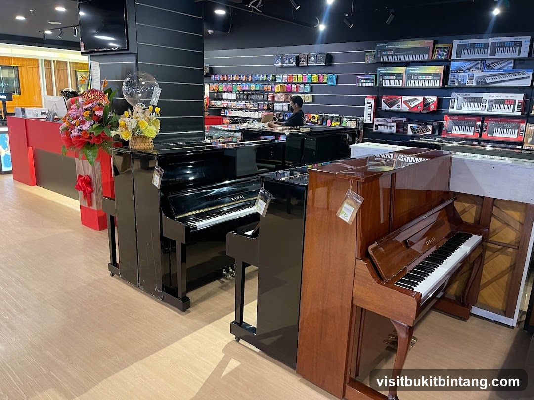Musical Instrument Store