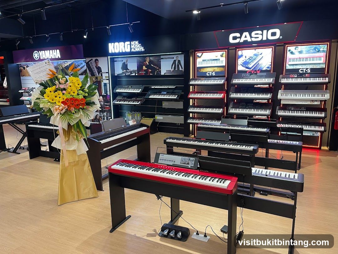 Musical Instrument Store