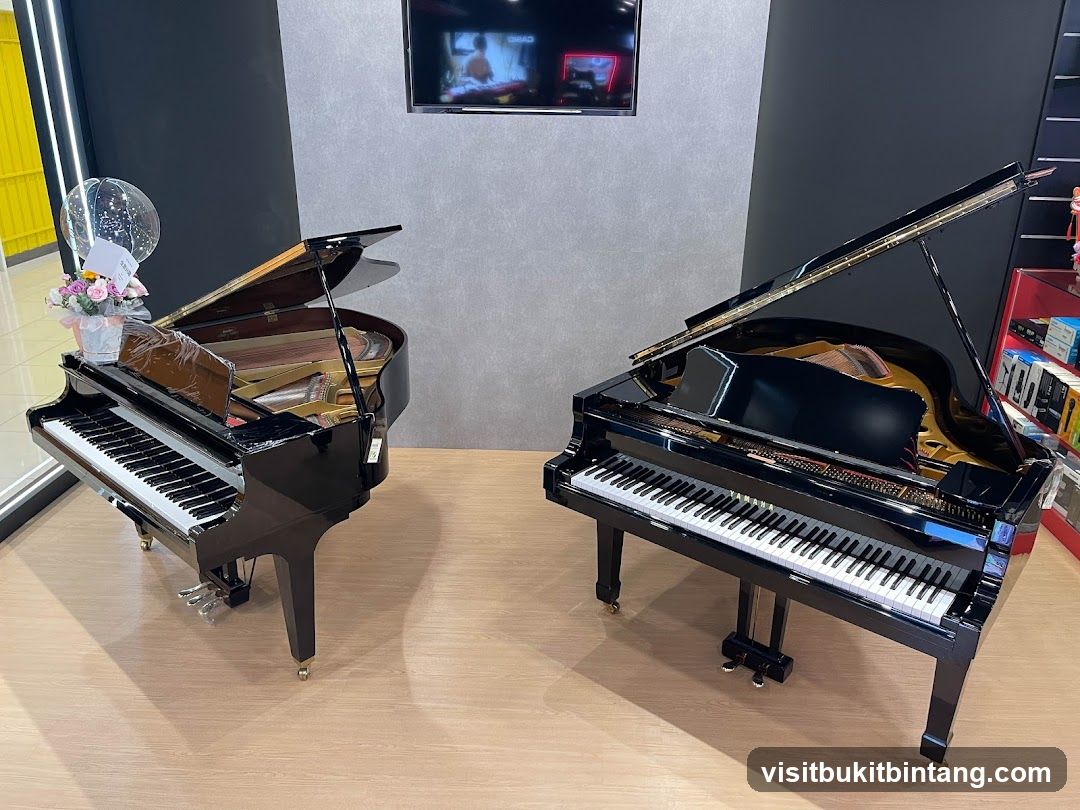 Two Grand Pianos on Display