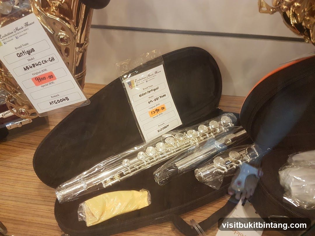 Musical Instruments