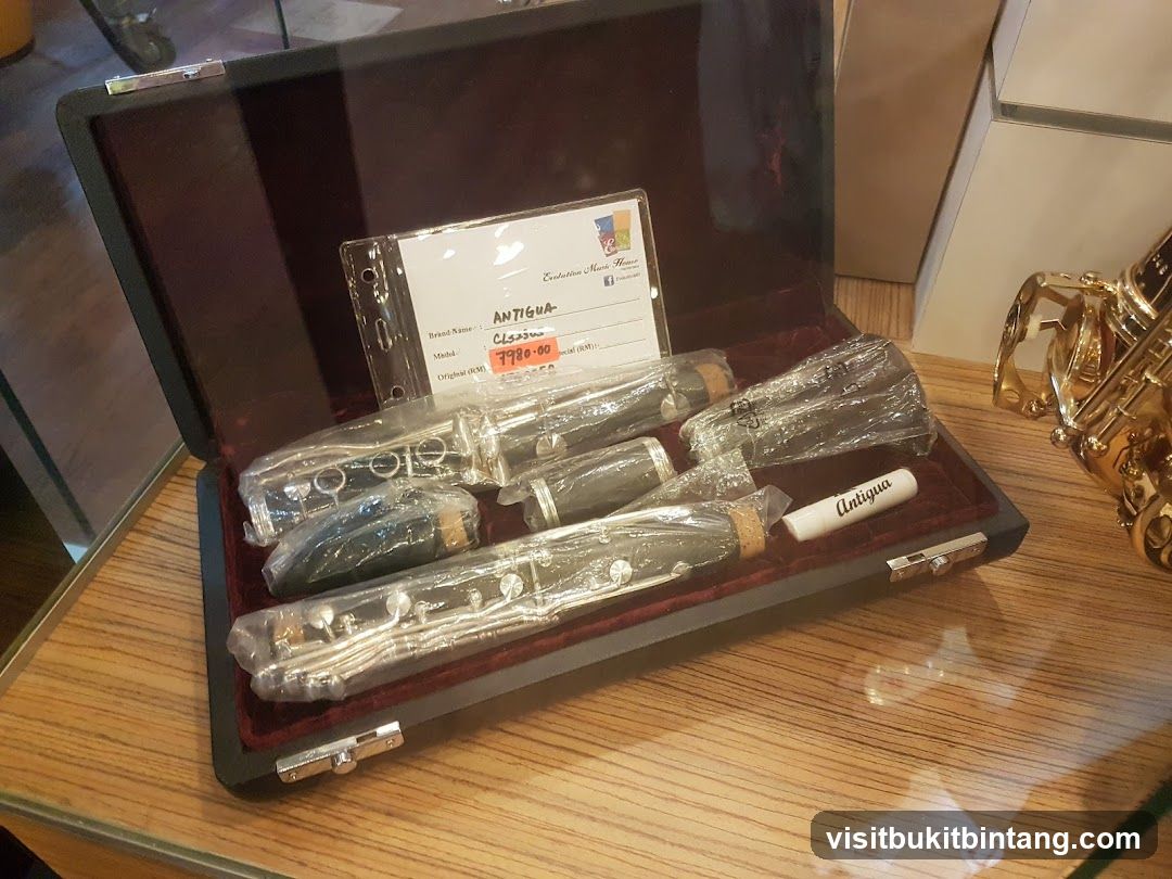 Clarinet in a Case