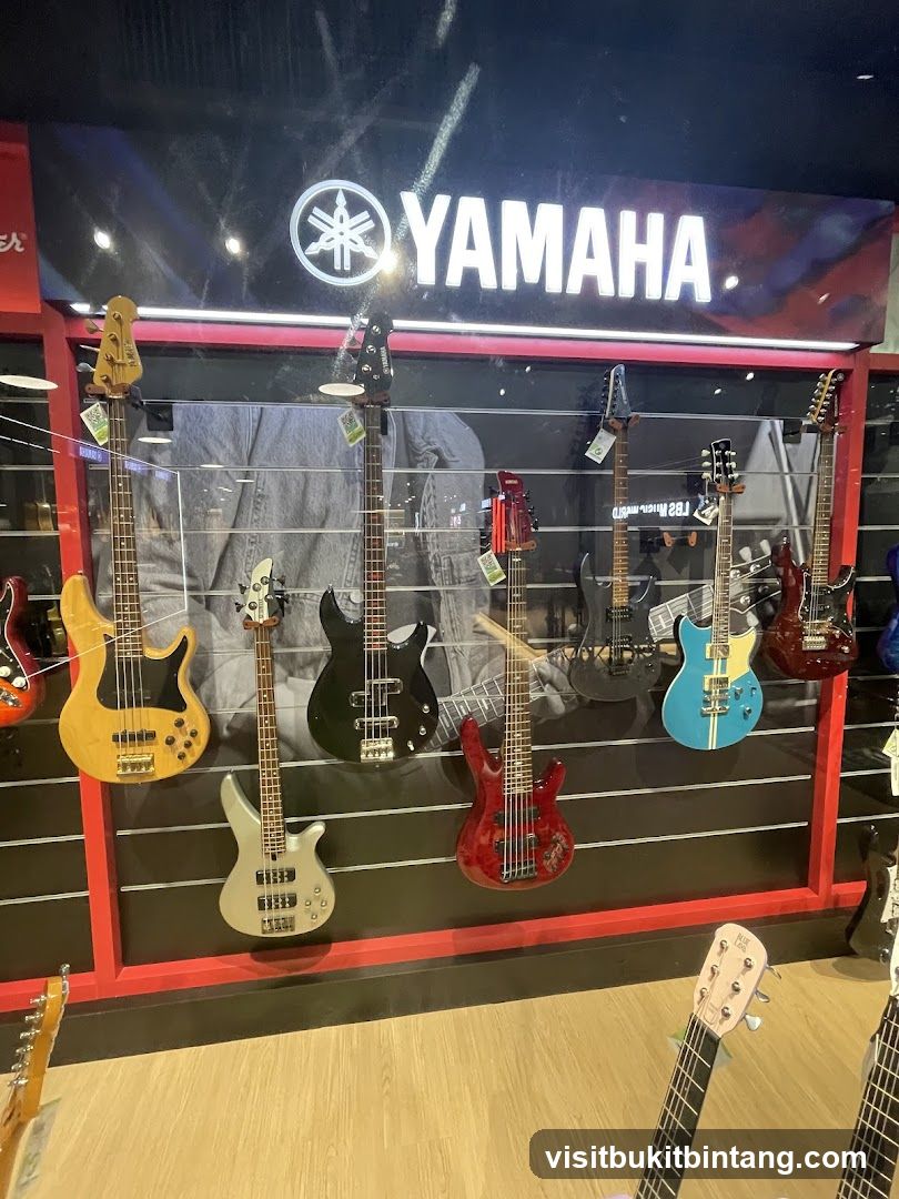 Guitars on Display