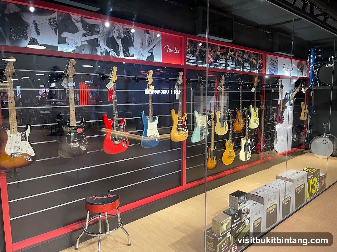 Guitars and Amplifiers Display