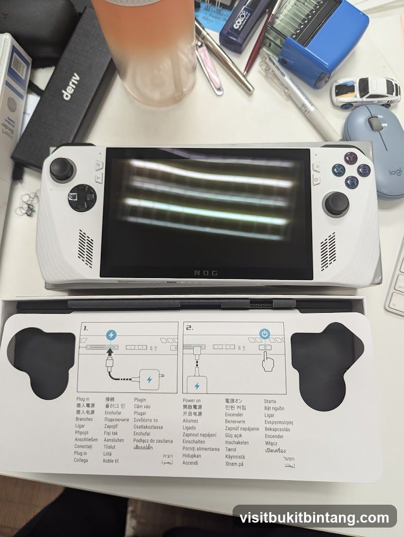 Gaming Handheld and Accessories