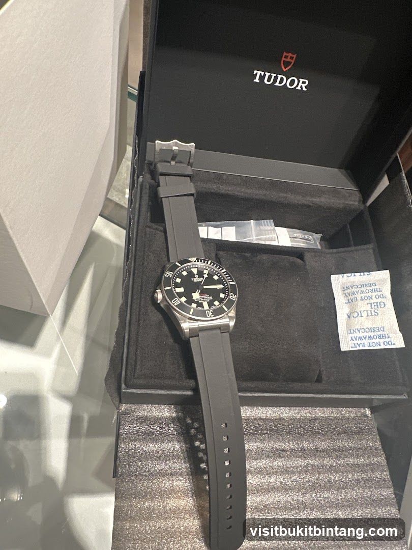 Tudor Watch in Box