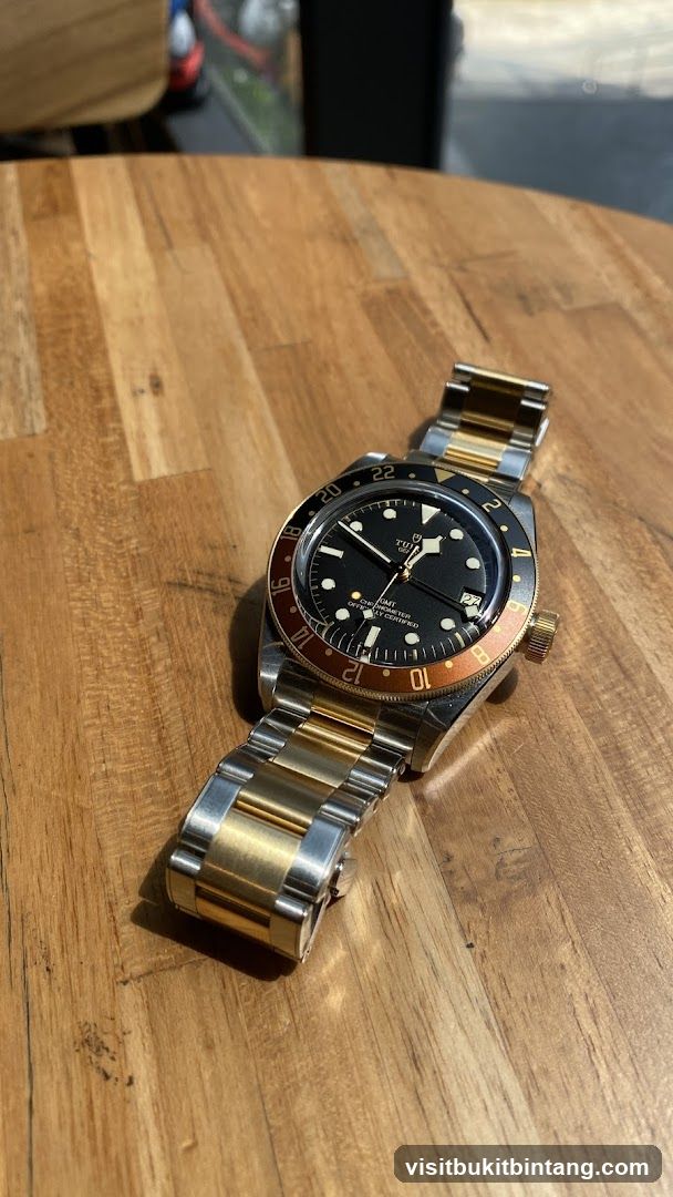 Tudor GMT Watch
