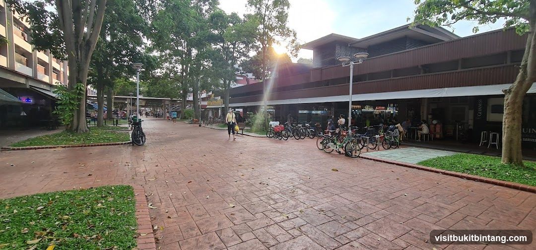 Outdoor seating area with bicycles