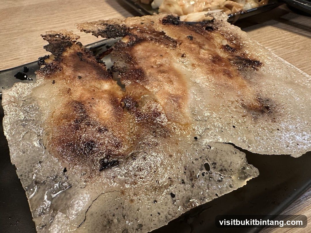 Pan-fried dumplings