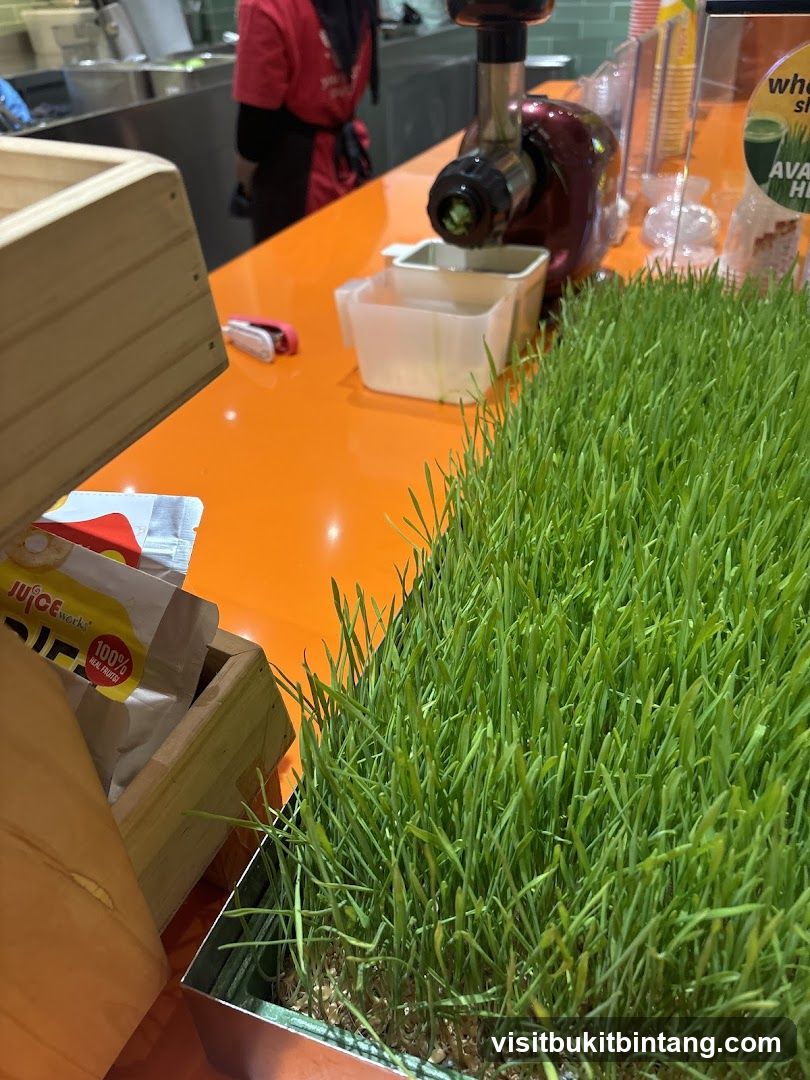 Juice Bar Counter