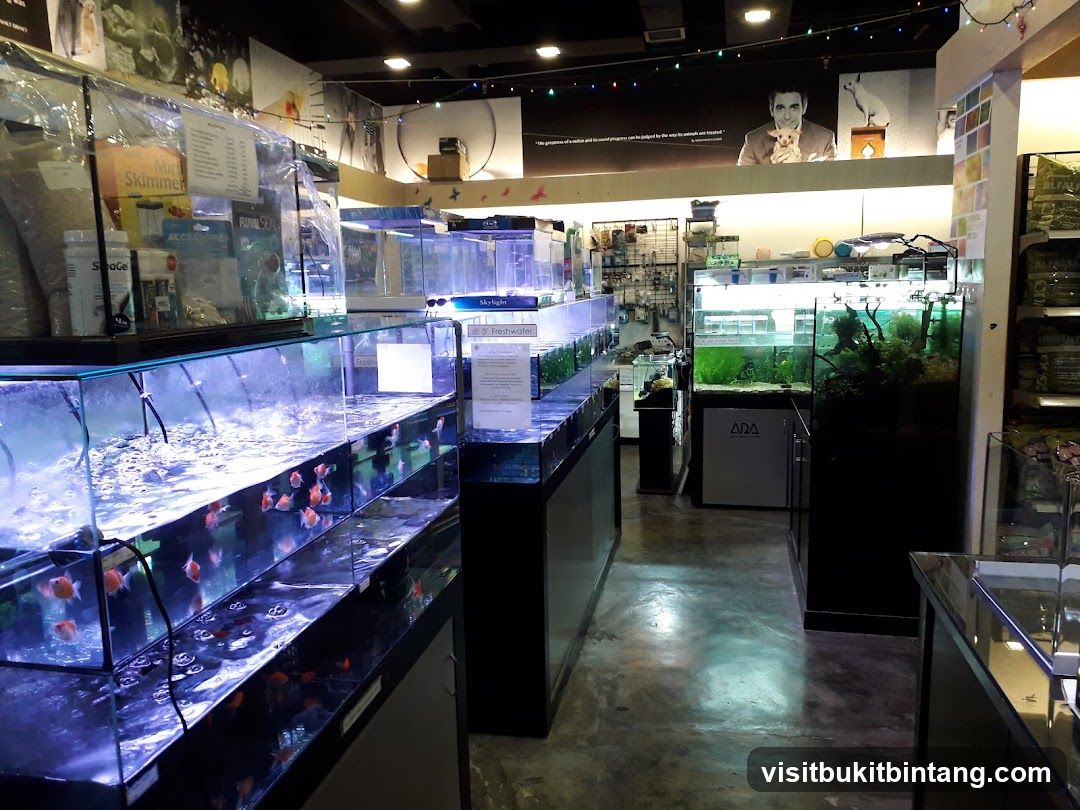 Aquarium Store Interior