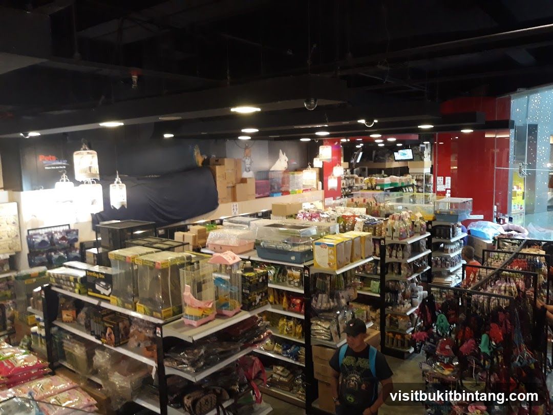 Pet Store Interior