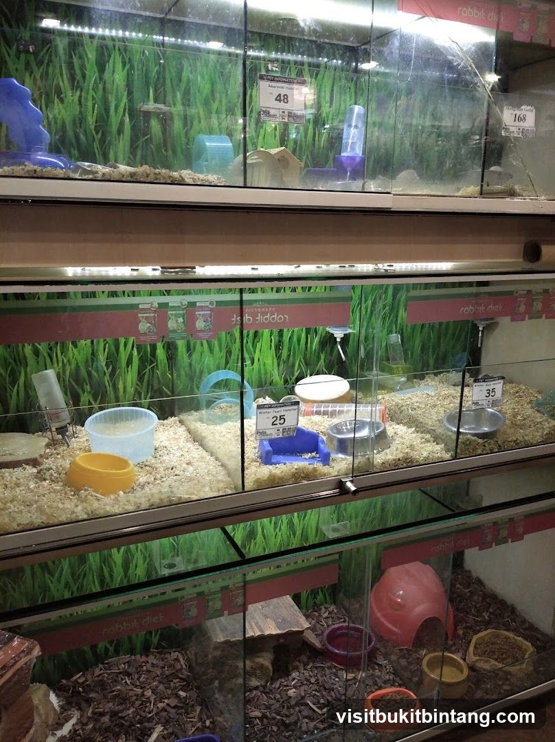 Pet Store Small Animal Enclosures