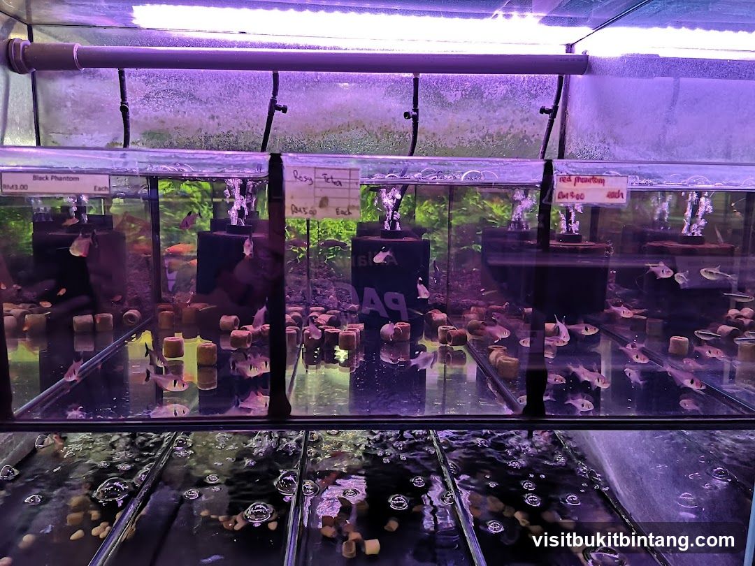 Fish Tanks with Price Labels