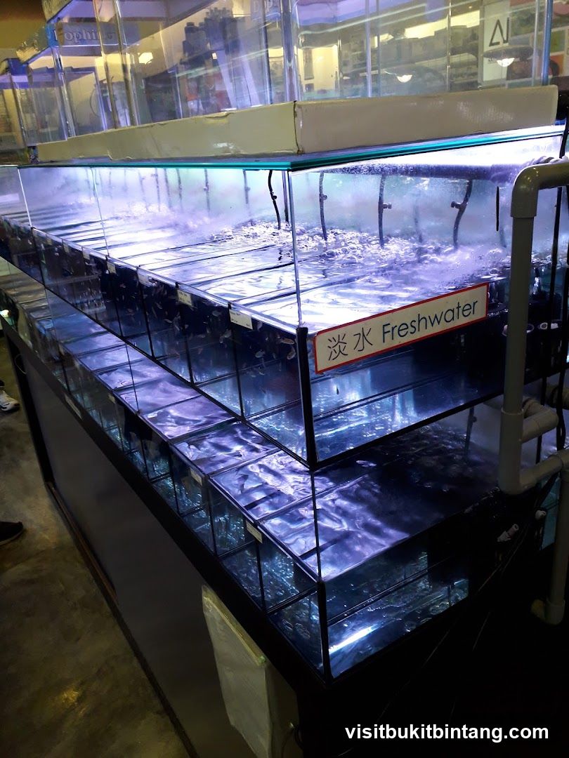 Aquarium Display
