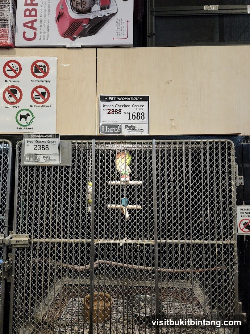 Pet Store Display