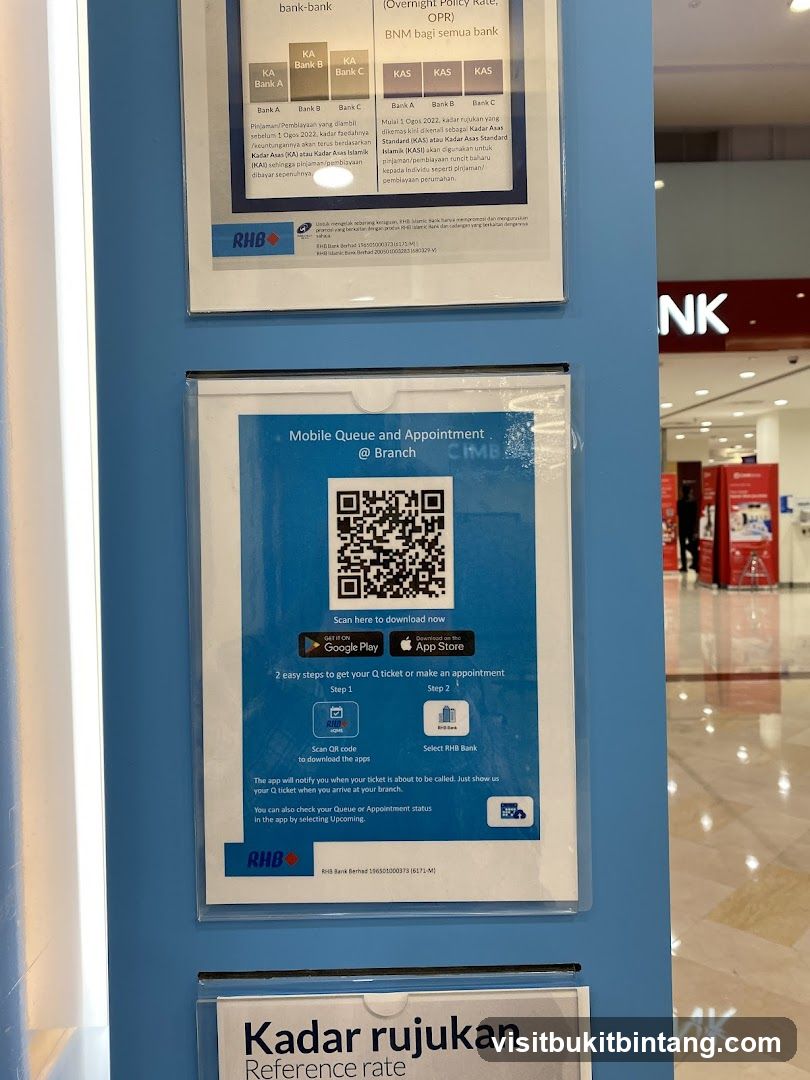 Mobile Queue and Appointment Flyer