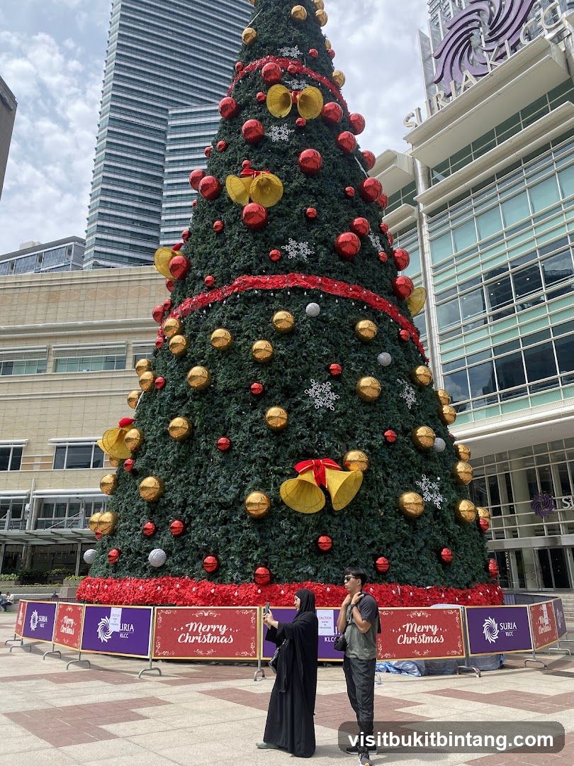 Christmas Tree Display