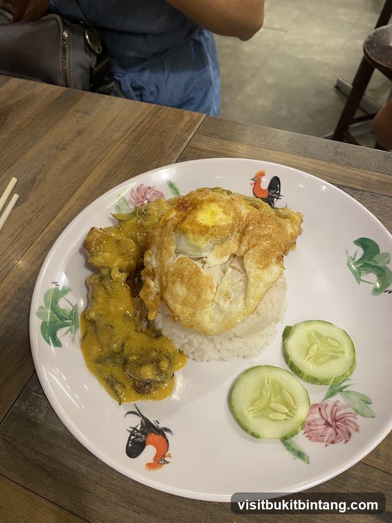 Curry Chicken Rice with Fried Egg