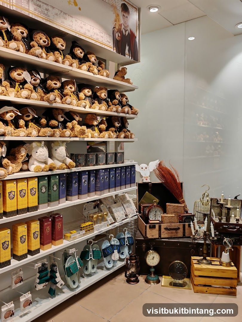 Harry Potter Themed Merchandise Display