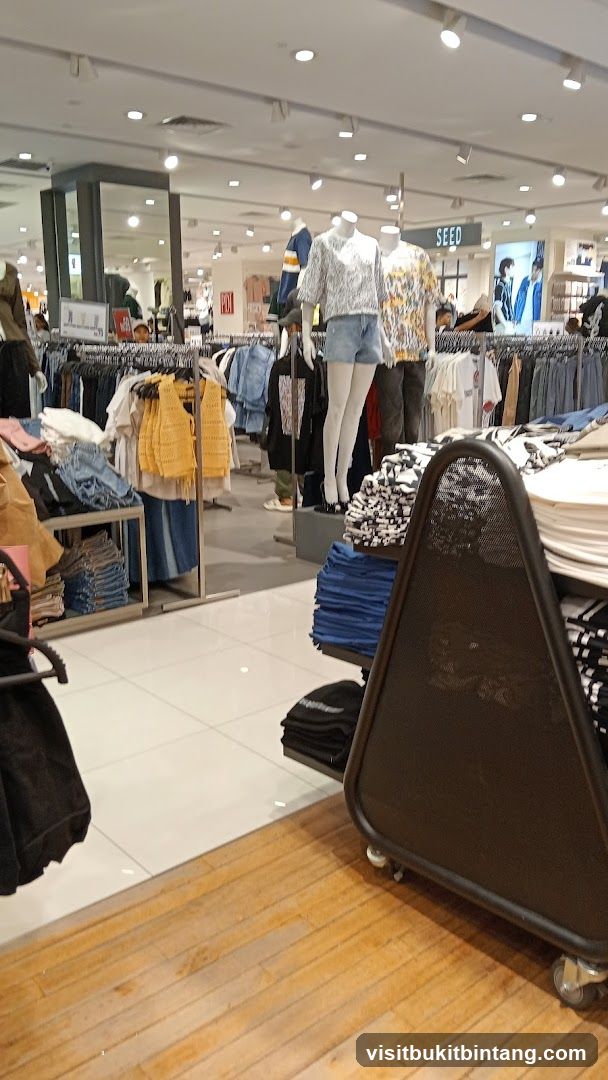 Clothing store interior with mannequins and apparel