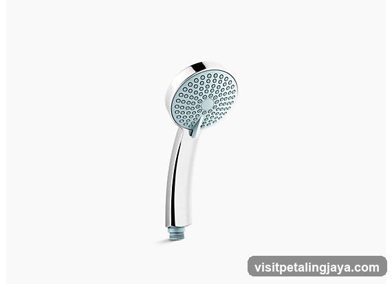 Chromed Shower Head