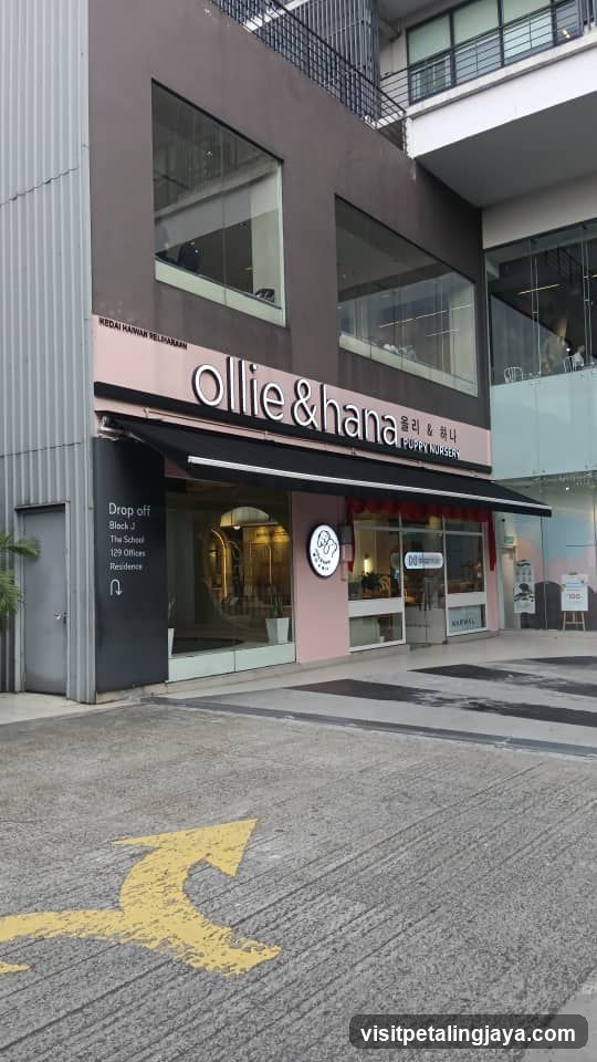 Ollie & Hana Shop Front