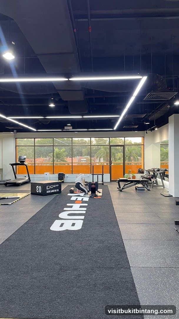 Gym Interior with Fitness Equipment
