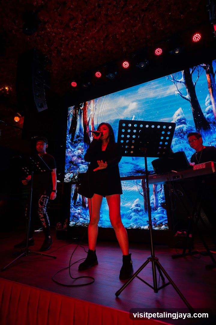 Live Music Performance on Stage