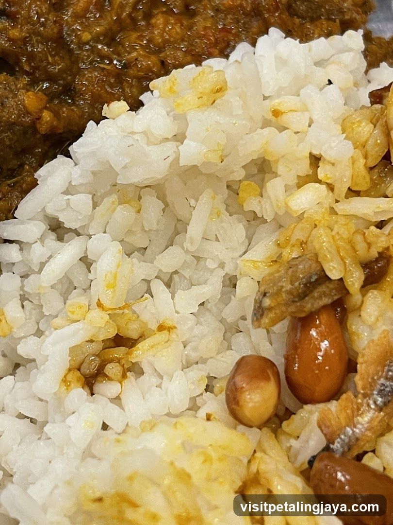 Rice and Curry Dish