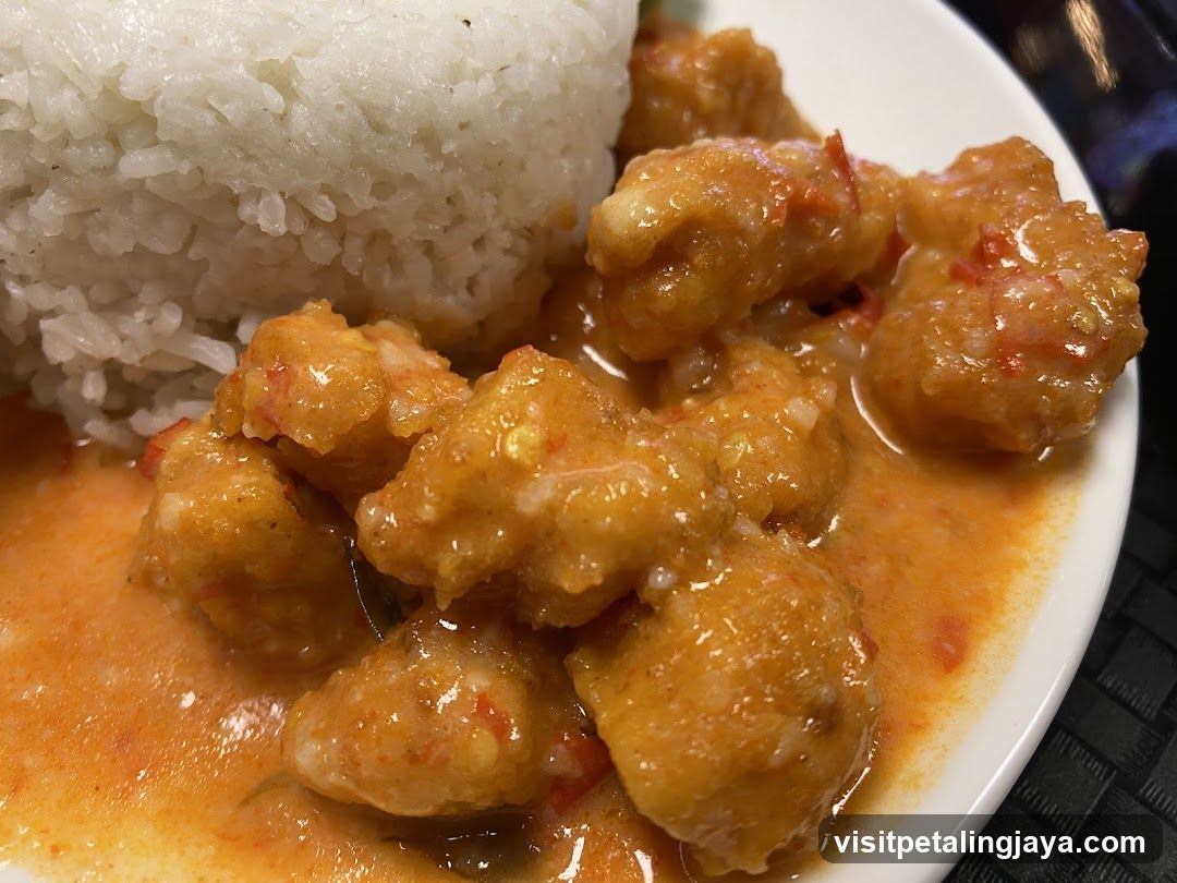 Crispy Chicken with Rice