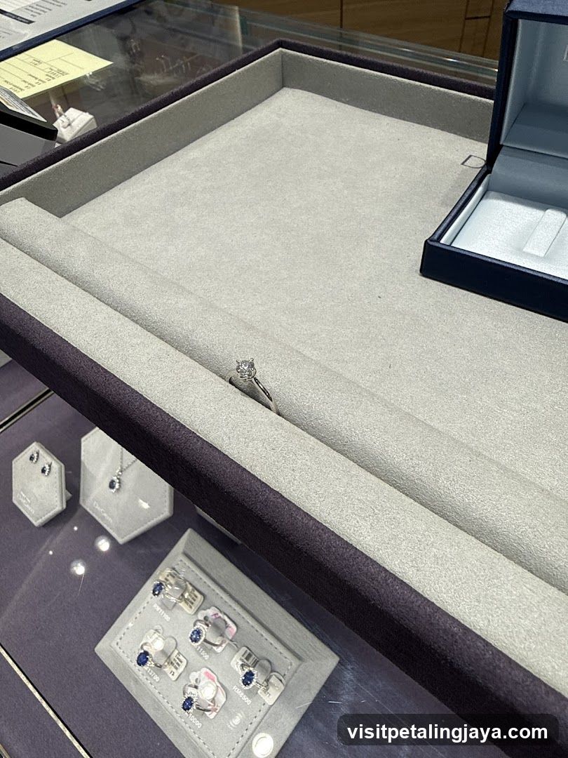 Jewelry Display Case