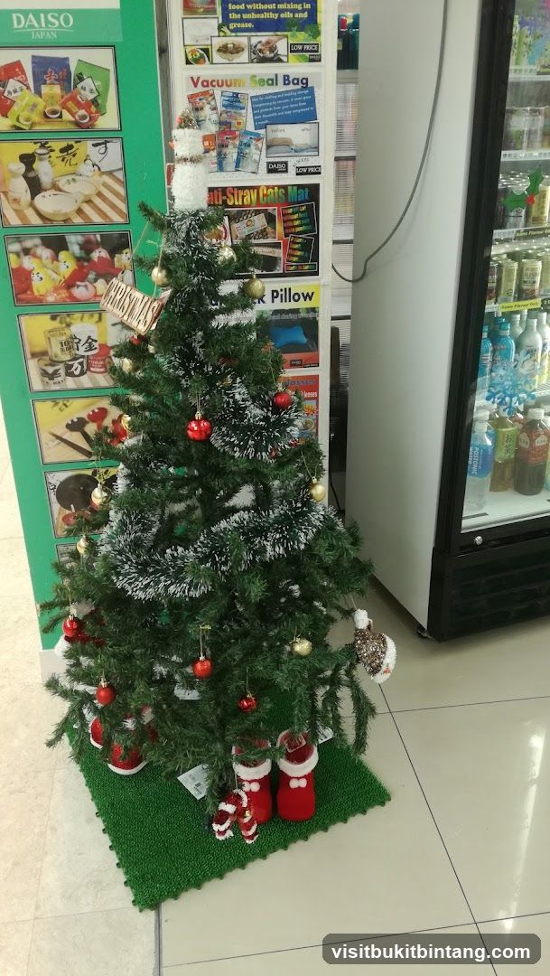 Christmas Tree Display