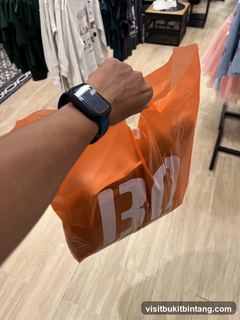 Person holding a shopping bag