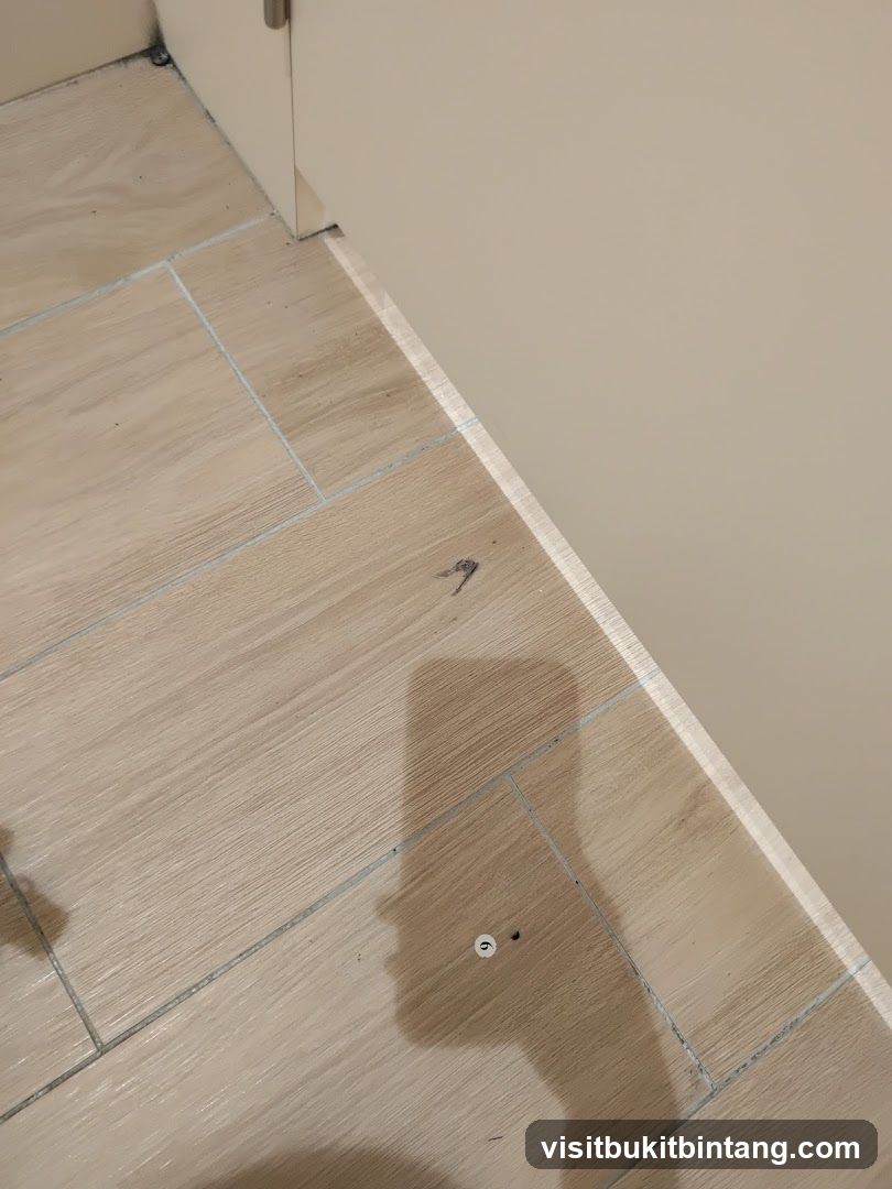 Floor and Wall Corner