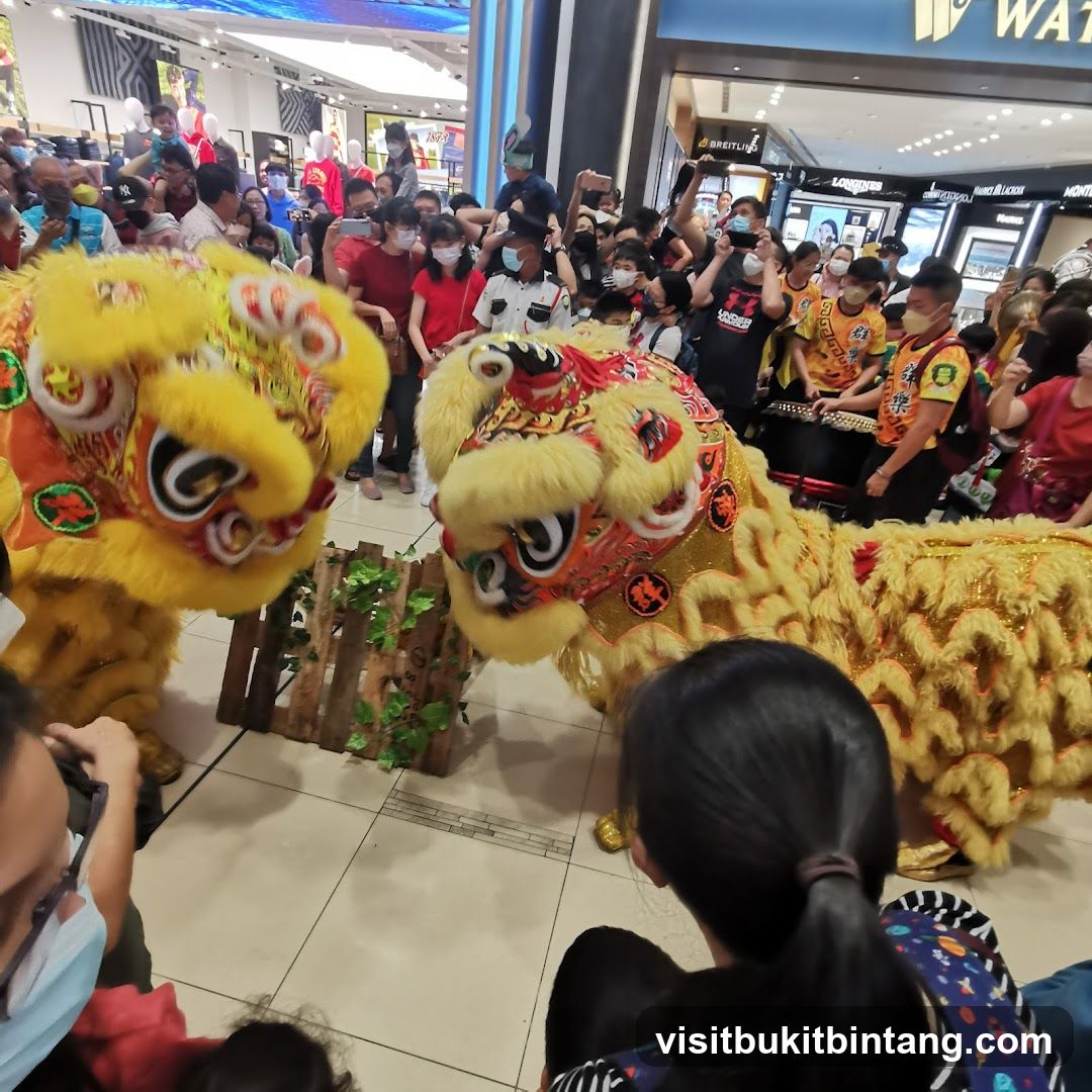 Lion Dance Performance