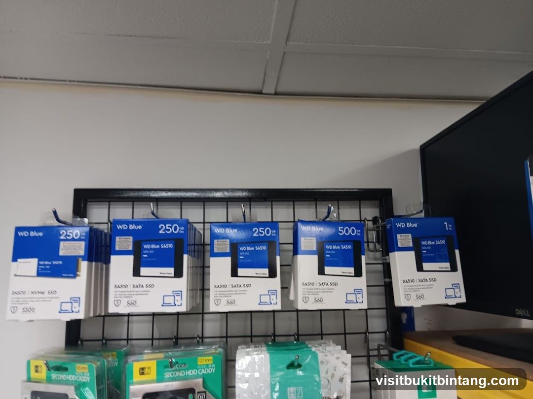 Computer Storage Devices