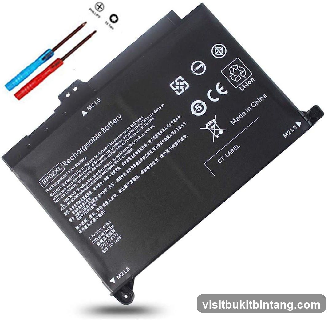 Rechargeable Li-ion Battery