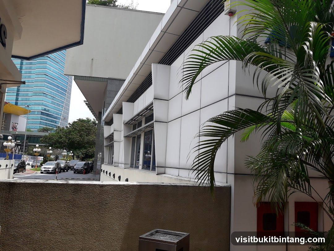 Modern Building Facade with Palm Fronds