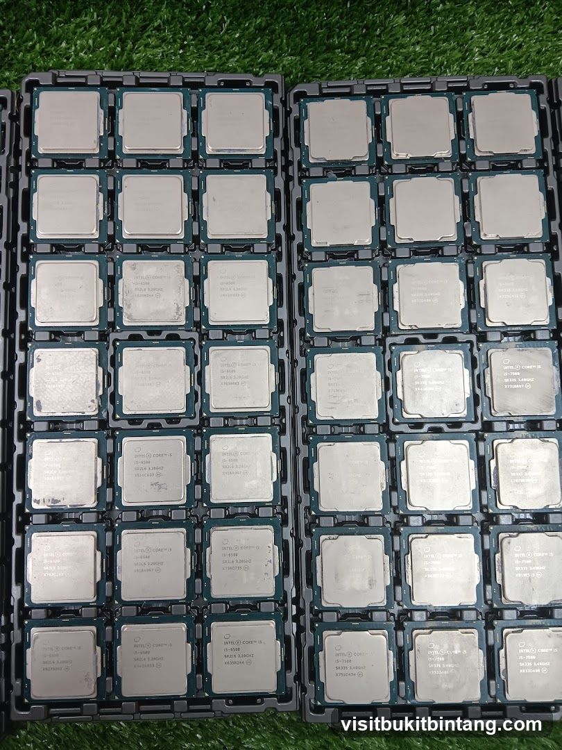 Computer Processors
