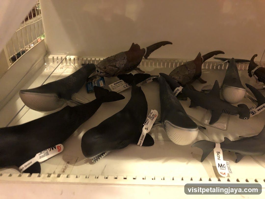 Toy Shark and Whale Display