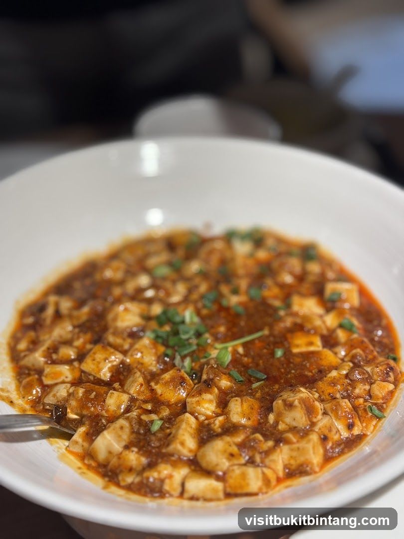 Mapo Tofu