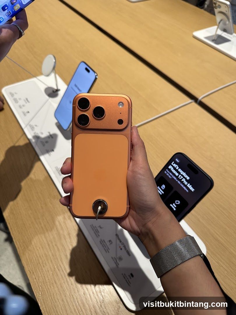 iPhone 17 Pro Max Display