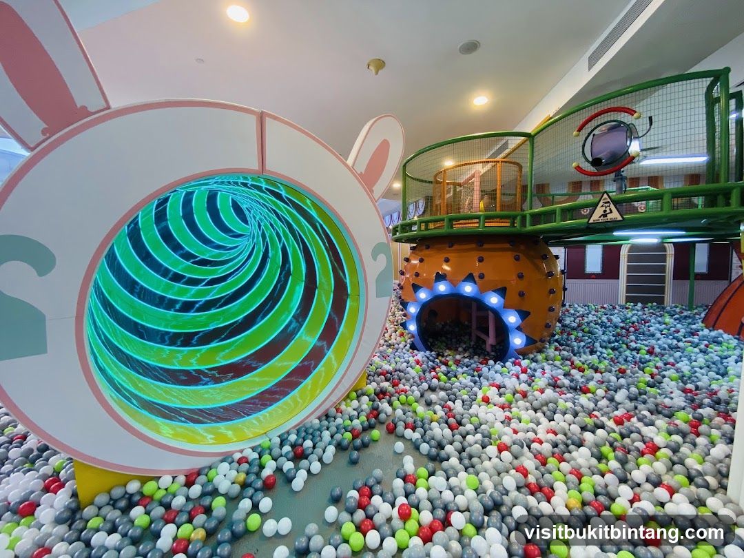 Indoor Playground with Ball Pit and Tunnel