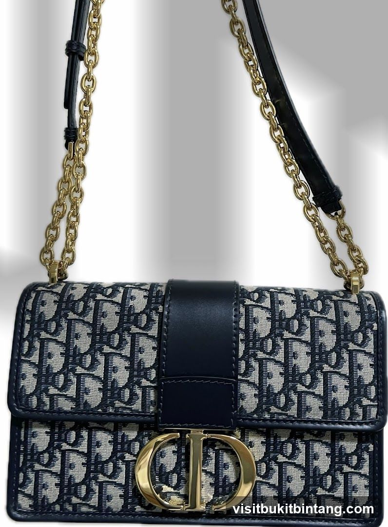 Dior Saddle Bag