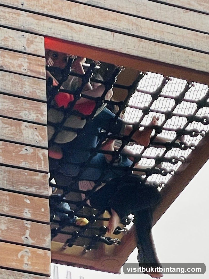 Children playing in a net structure