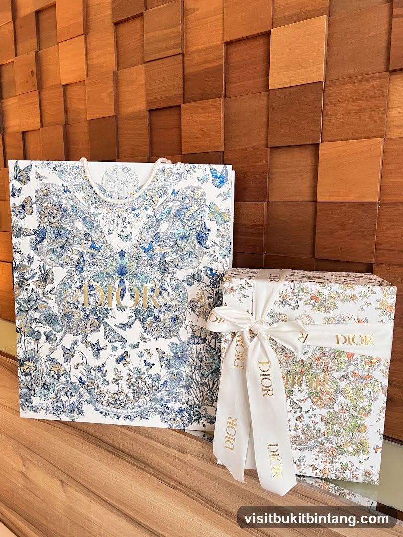 Dior Shopping Bag and Gift Box